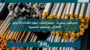 «استقرار نسبي».. سعر الحديد اليوم الثلاثاء 29 أبريل 2025 في الأسواق المصرية